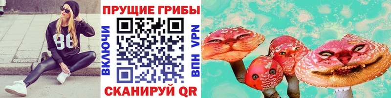Галлюциногенные грибы прущие грибы  кракен ТОР  Котельниково 